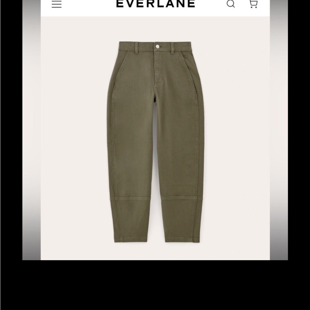 Everlane Barrel Utility pants in kalamata